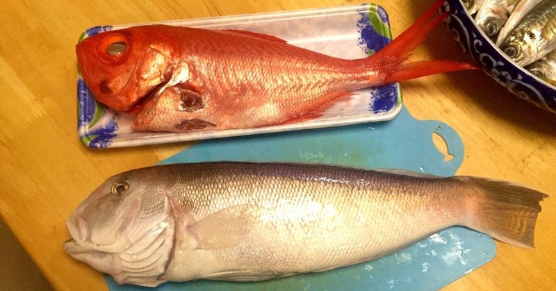 幻の超高級魚と言われるシロアマダイ（シラカワ）とキンメダイを並べてみた