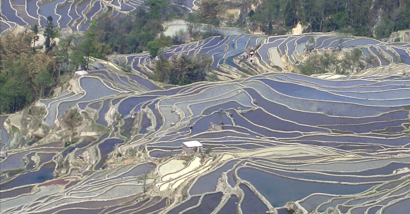 世界遺産ハニ棚田12種類　12パックセット　中国茶　大阪万博中国館ギフト確定 中国雲南省探訪記④】世界遺産・元陽ハニ族の棚田｜翁まひろ