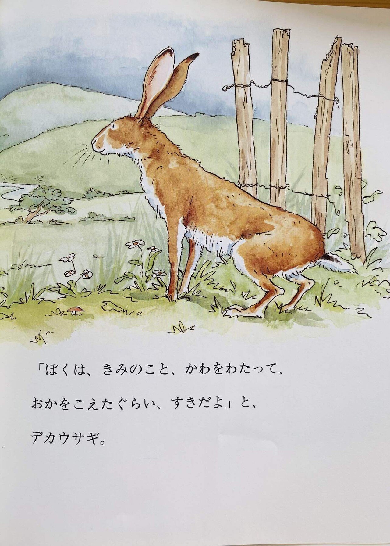 どんなにきみがすきだかあててごらん、おしいれのぼうけん他　絵本33冊まとめ売り 911JQerGTGL.jpg_BO30,255,255,