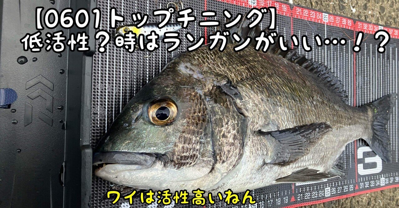0601トップチニング】低活性？の時はランガンがいい…！？｜ぐっちあっきー