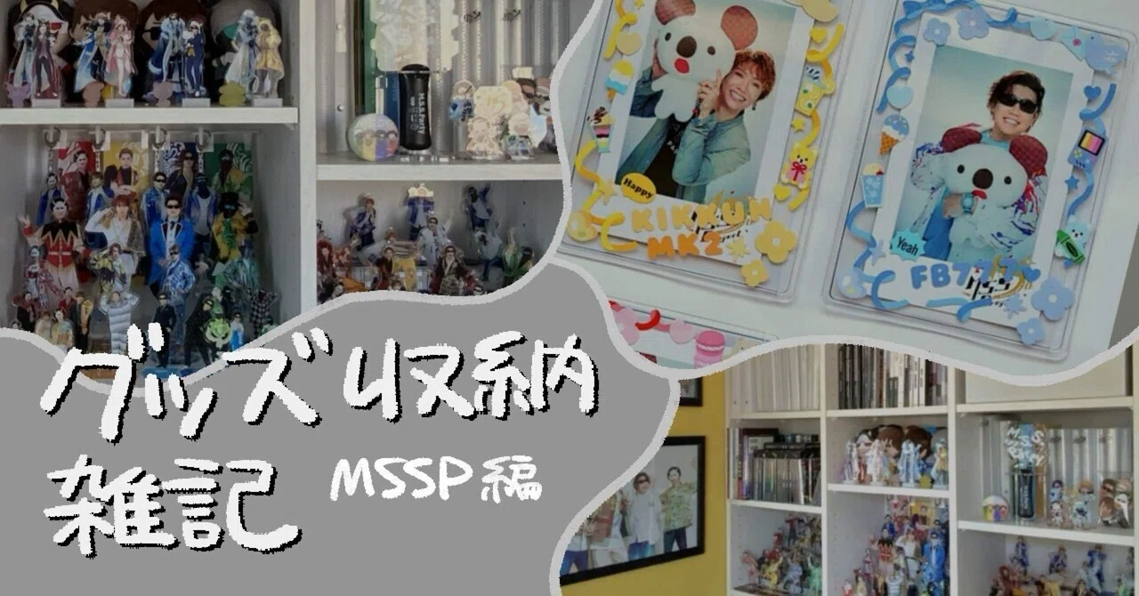 グッズ収納・装飾 雑記 MSSP編｜はんすう