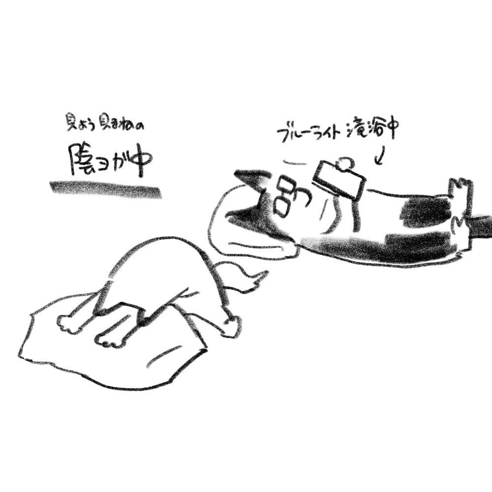 ゴキブリ 体操 効果