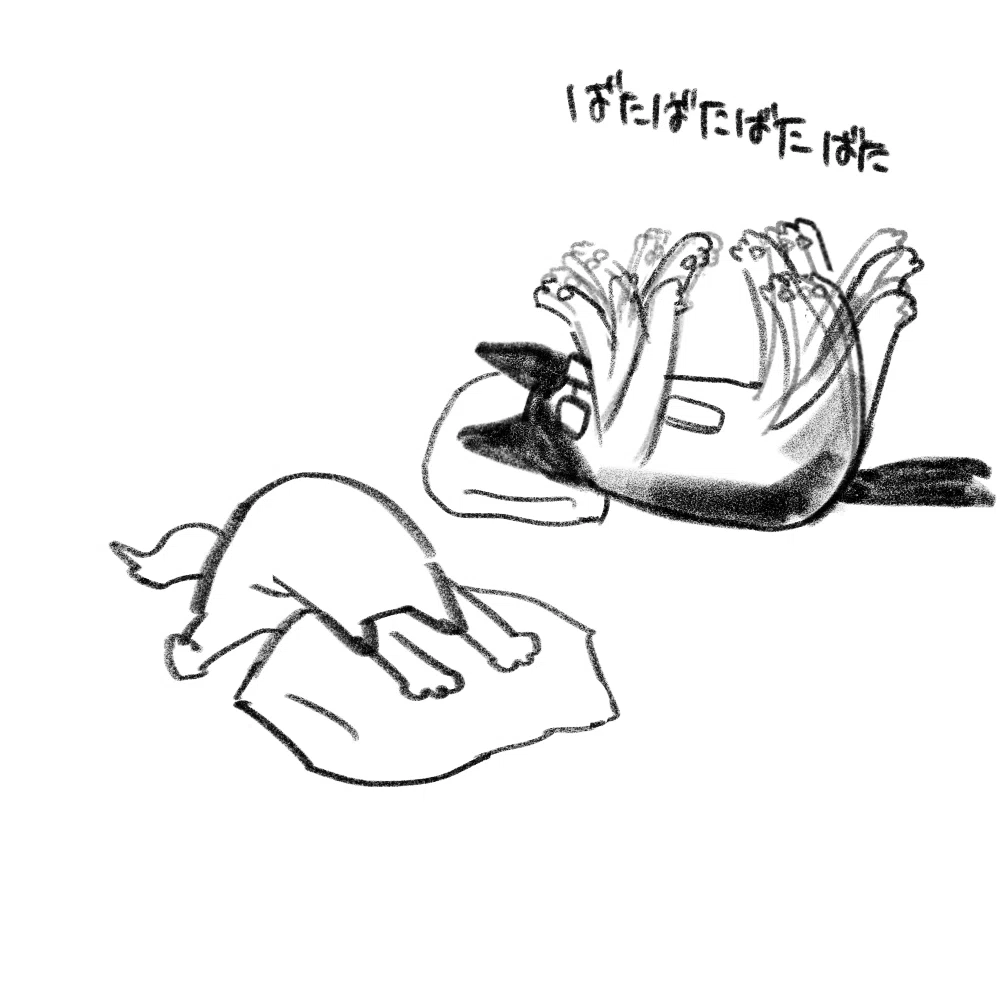 ゴキブリ 体操 効果