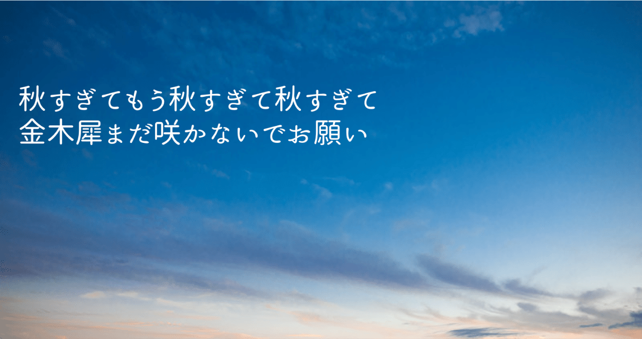 短歌 2019/08-09 前編｜あゆみむ｜note