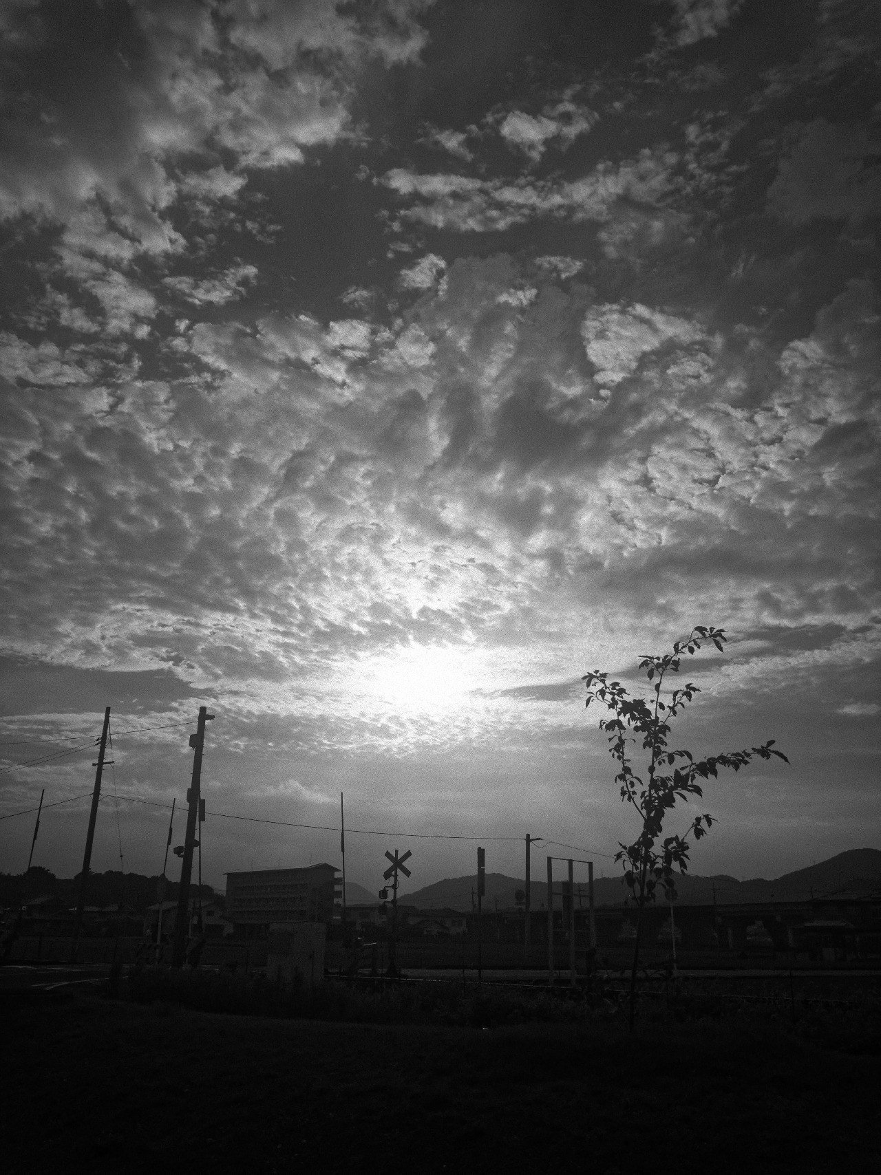 Iphoneのraw画像でトイカメラ遊びをしてみた 国島丈生 Note Iphoneのraw画像でトイカメラ遊びをしてみた 国島丈生 Note