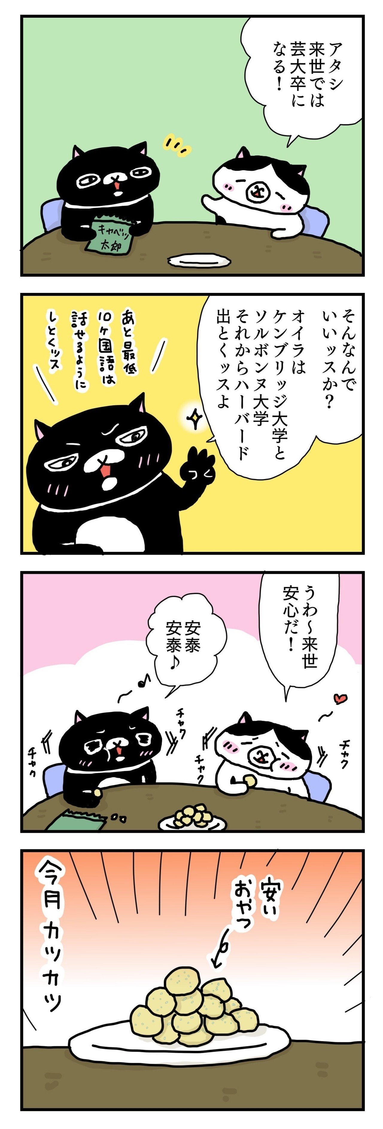 想像力だけはブルジョワ猫夫婦。｜髙田ナッツu0026オンガク猫団｜note