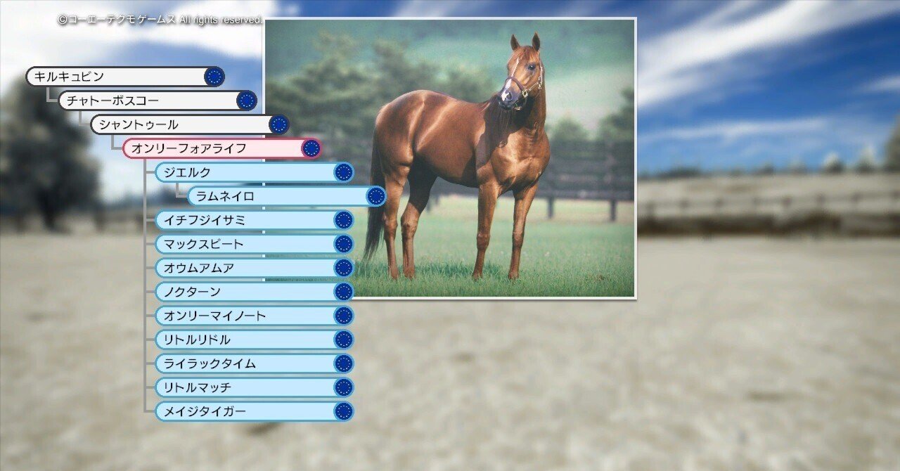 アマチャズル【卸】第5弾4種類←秋の感謝祭適用 アマチャズル【卸】第 アマチャズル【卸】第5弾4種類←秋の感謝祭適用 アマチャズル【卸】第