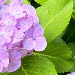 生誕130年 武井武雄の世界〜幻想の世界へようこそ〜｜PEARLの日記