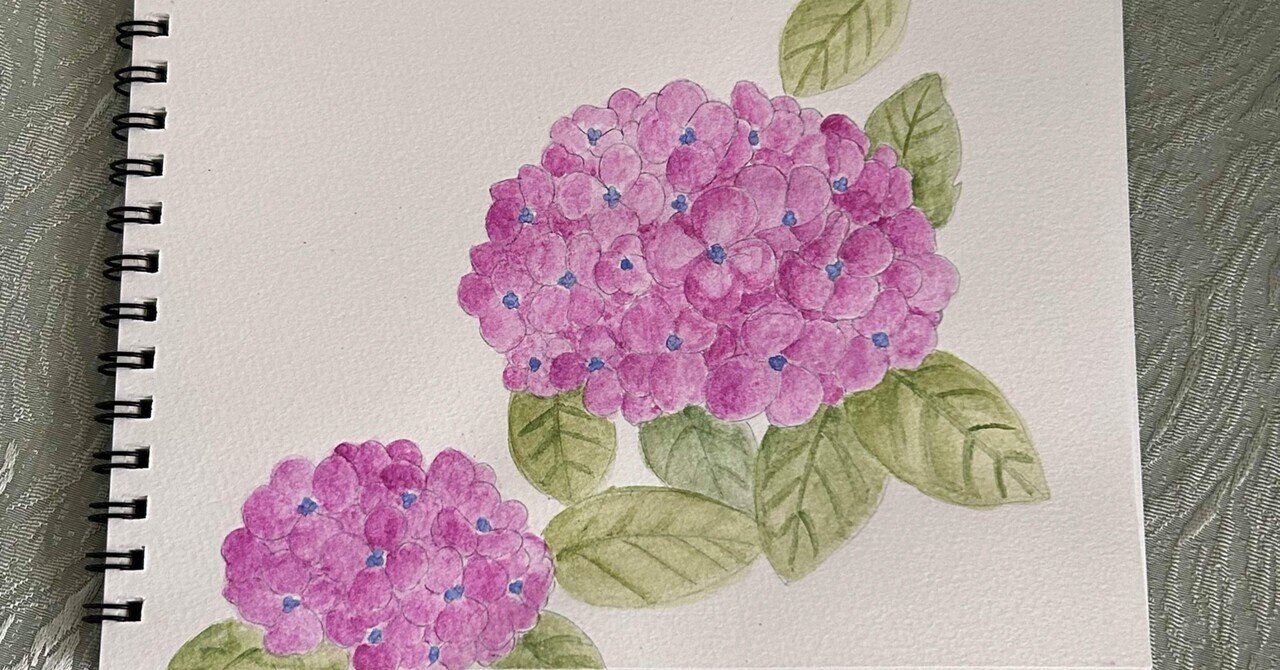 紫陽花とスケッチブック｜Snow❄️Yukihikari