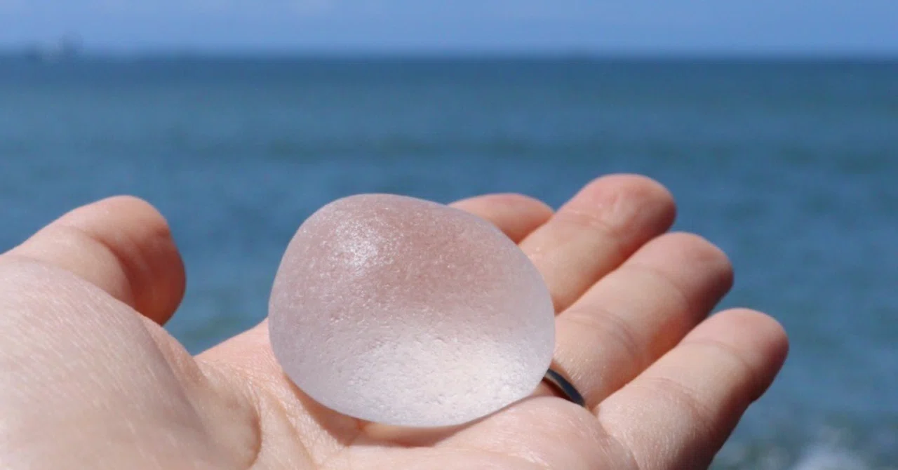 初夏の湘南の海から｜さいとうえみり｜hikari living店主