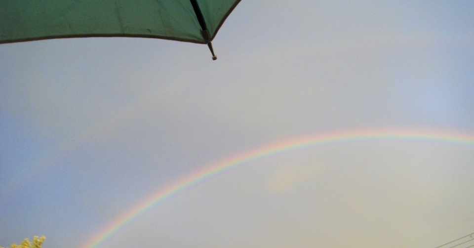 百瀬七海を少し覗いてみる 百瀬七海 Note