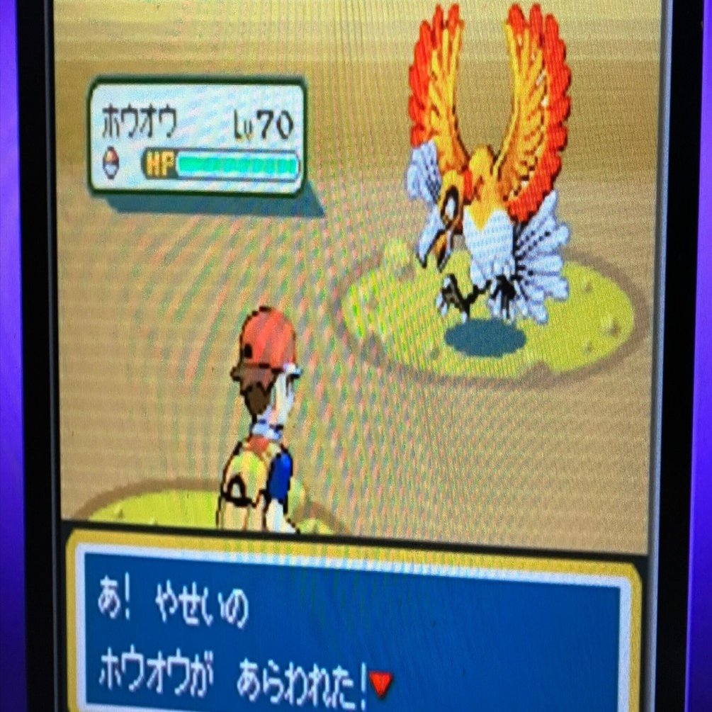 色違いホウオウとの思い出(1)：100回目くらいの奇跡｜しゃけのアルバム