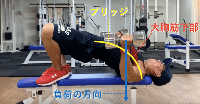 大胸筋下部 ディクラインダンベルプレス 後編 Chicken Heart Tv Note