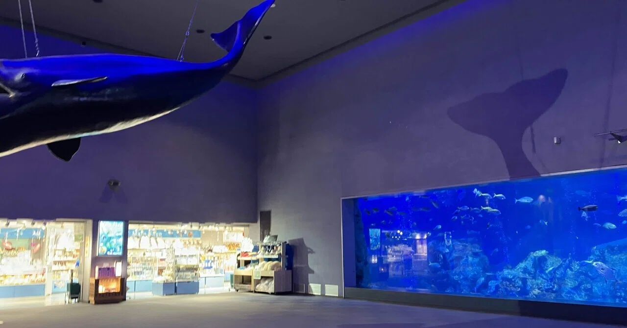 日淡オタクの淡水網羅-鳥羽水族館編-｜どぶりあ