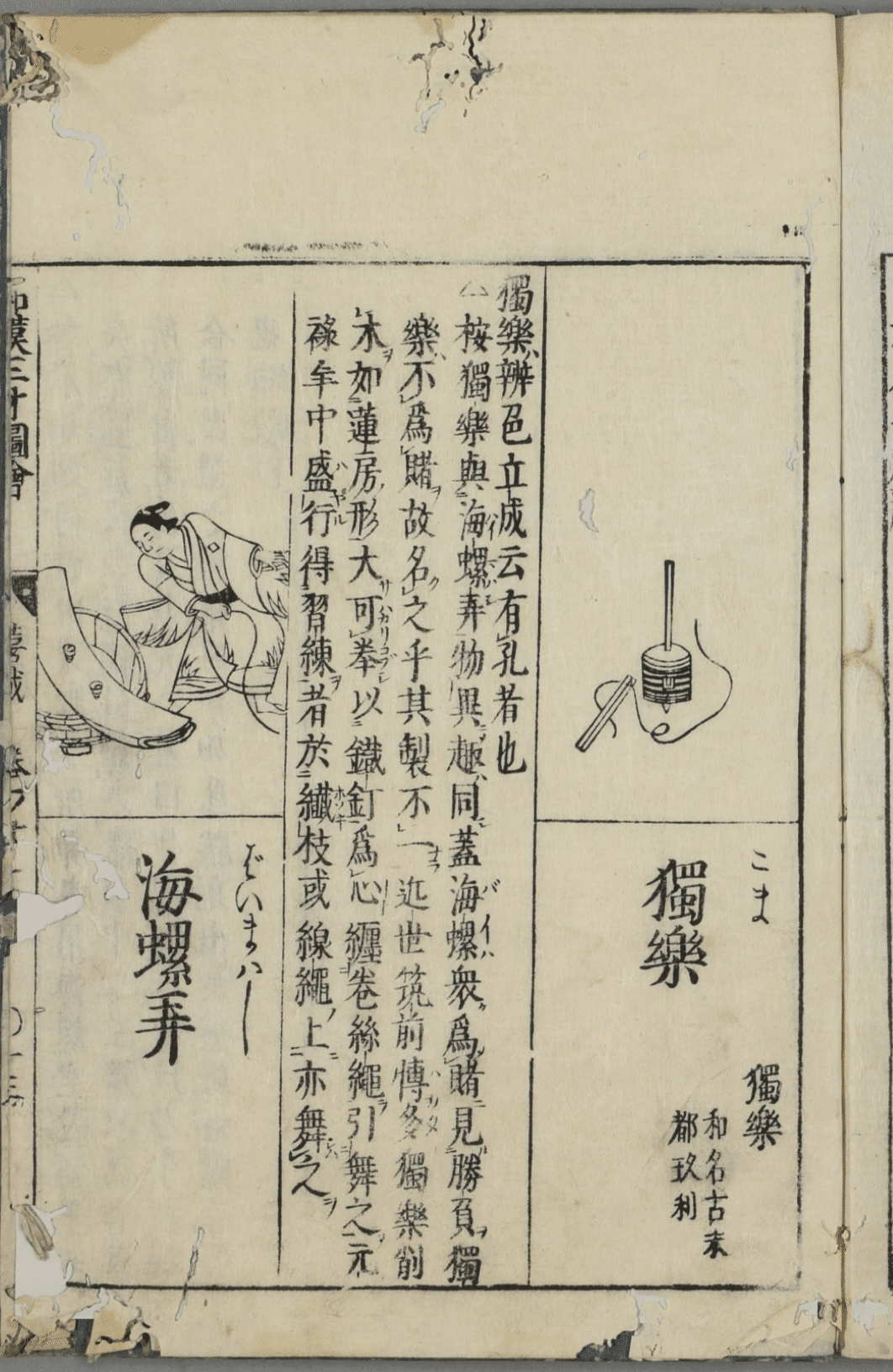 Amazon.co.jp: 和漢三才図会6冊/明治35年/日本初江戸時代図説
