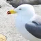 井之四花 頂