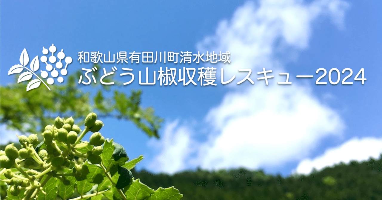 ぶどう山椒収穫レスキュー2024、受付終了｜一般社団法人しろにし