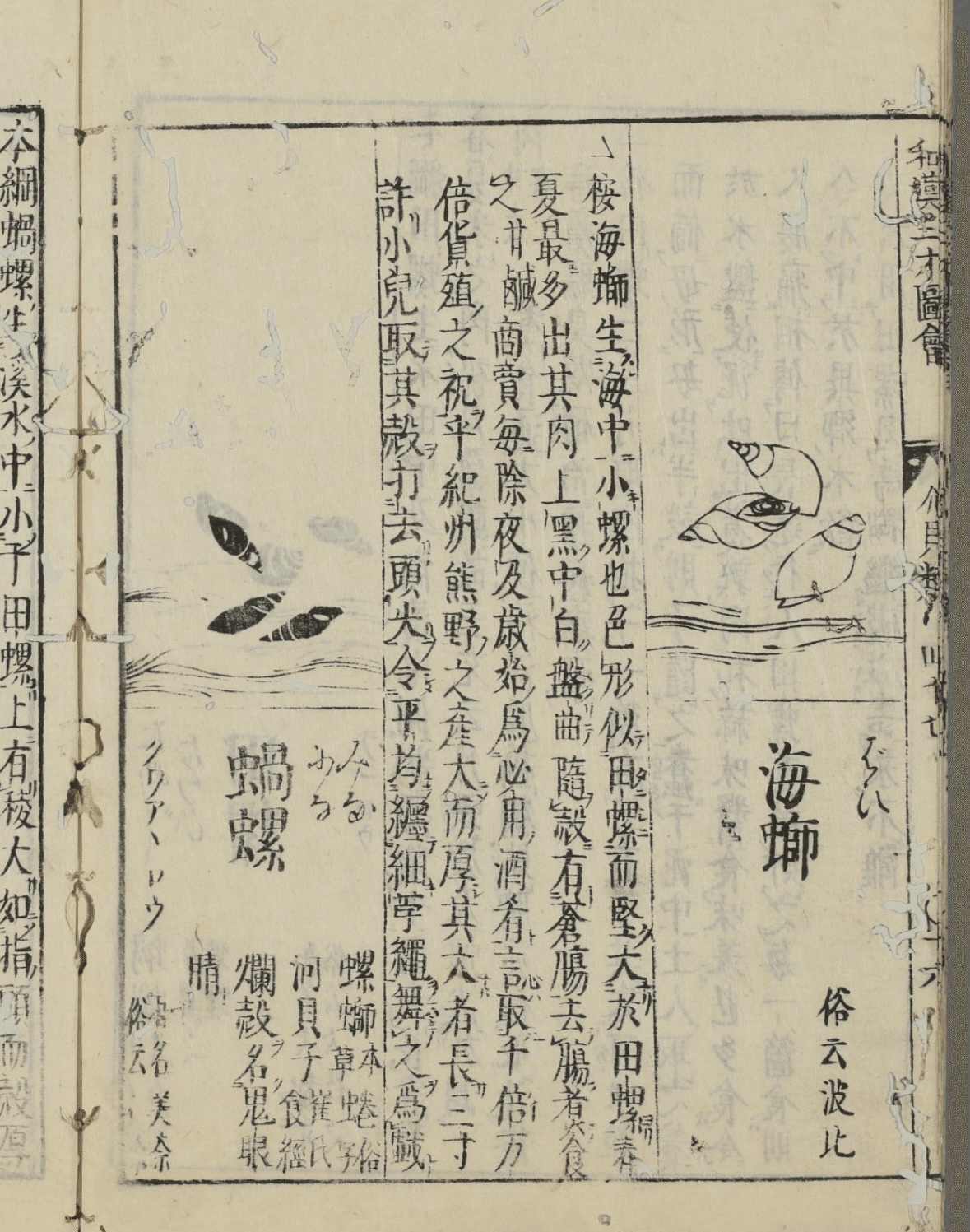 和漢三才図会（ベーゴマ考66）｜『あそび』と『まなび』研究所