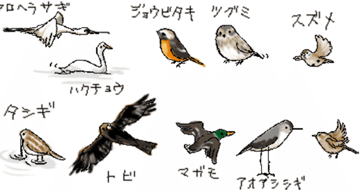 第539回 異名を沢山持つ野鳥(2)｜翆野 大地
