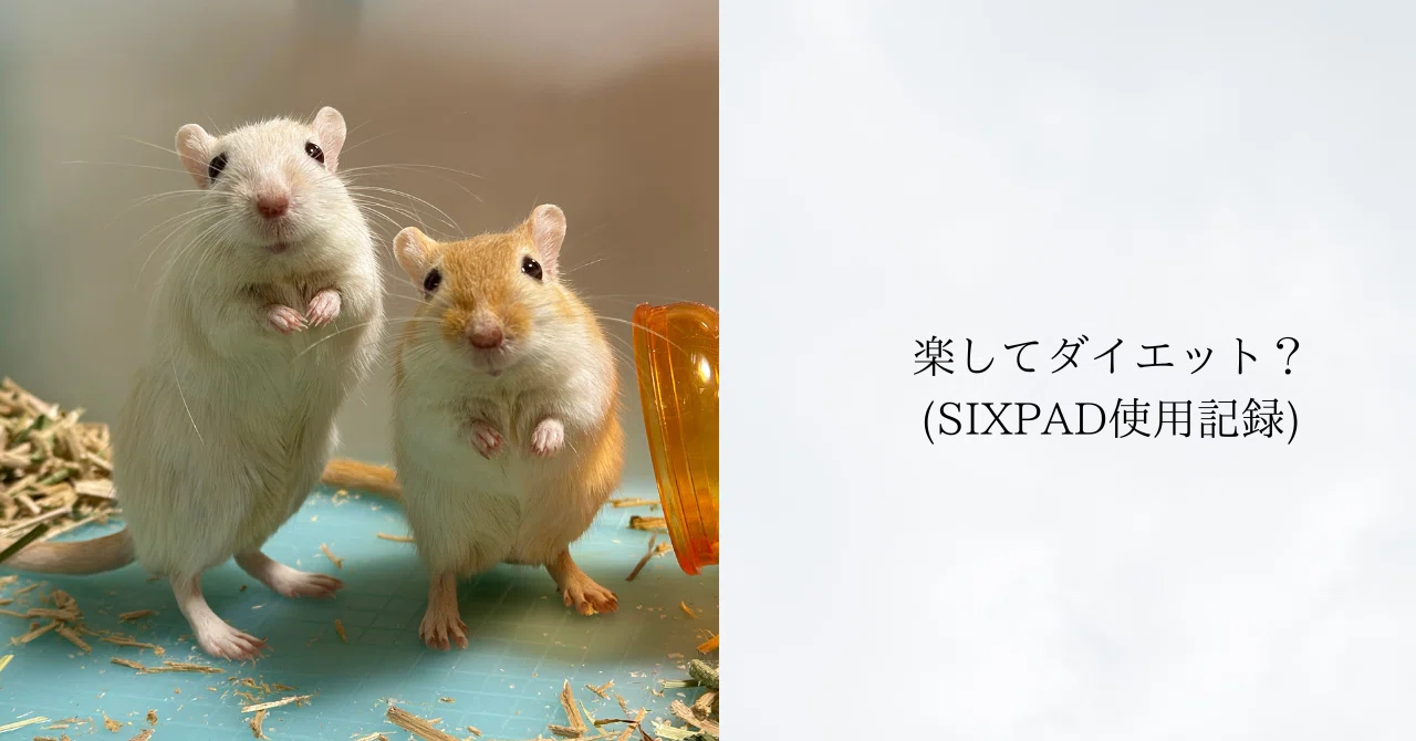 SIXPAD ダイエットに ガチレビュー】SIXPADって実際どう？普通に腹筋すれば良くない？「楽し