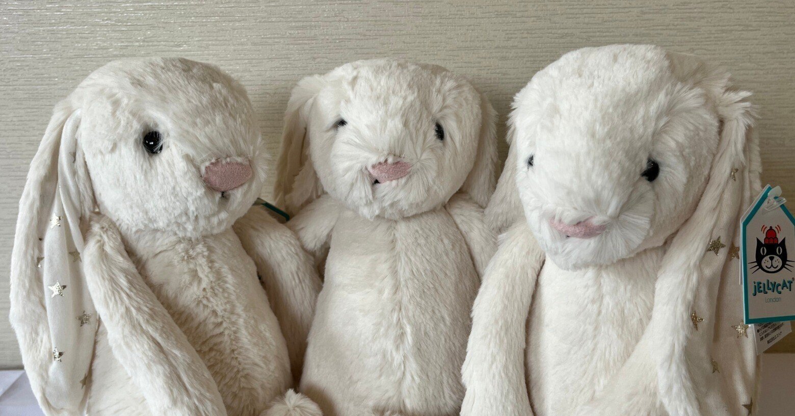 新品　ジェリーキャット　うさぎ　トゥインクル バニー　Mサイズ　星　白　スター 新品 ジェリーキャット うさぎ トゥインクル バニー 星 白 クリーム スター