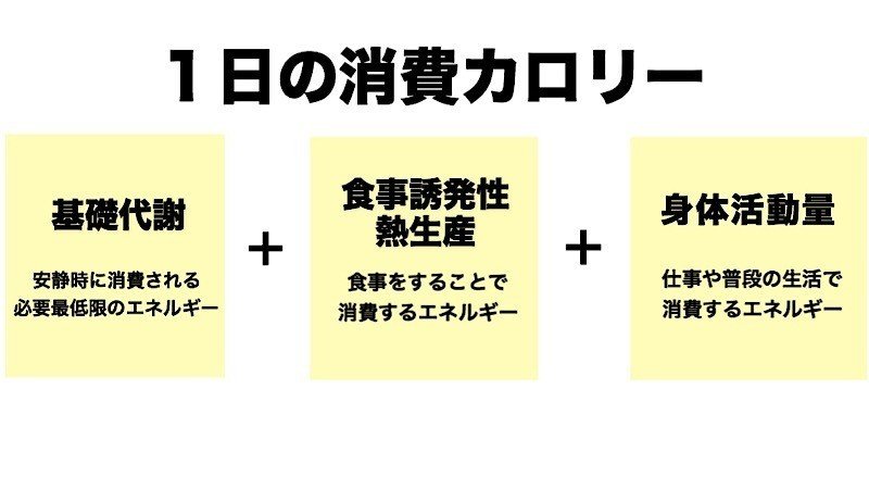 太りにくい体 筋肉の大きさと消費カロリーの関係 基礎代謝 じーやま 山路和希 Note