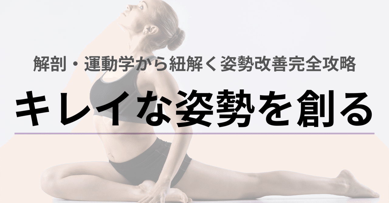 キレイな姿勢を創る】解剖・運動学から紐解く姿勢改善完全攻略