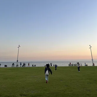 みかん