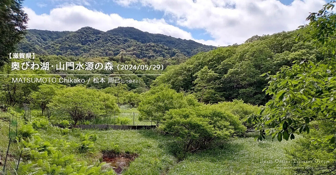 【滋賀県】奥びわ湖・山門水源の森（2024/05/29）｜しう＠そと