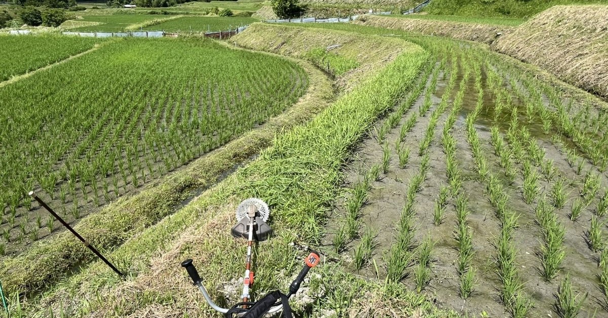 土地・田んぼ・土手等 草刈り致します！ 土地・田んぼ・土手等 草刈りします！