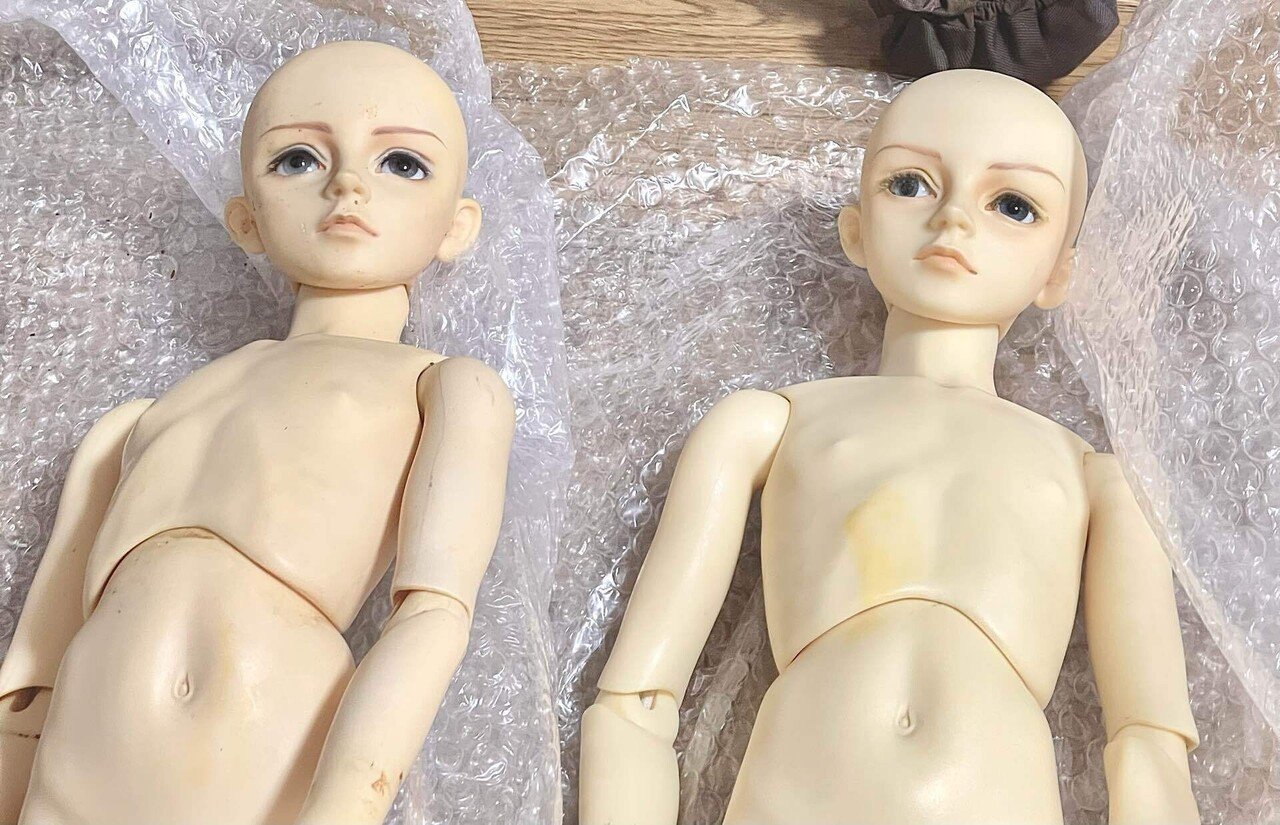✴︎ ボロボロのレイズナーが来た！ ✴︎｜DALI