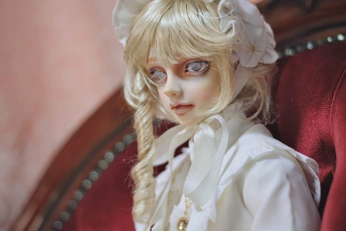 ✴︎ ボロボロのレイズナーが来た！ ✴︎｜DALI