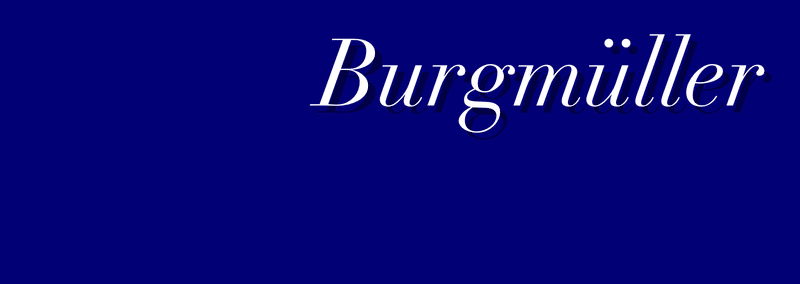 電子ピアノ Alesis Recital を買った話 Ryosaka Note