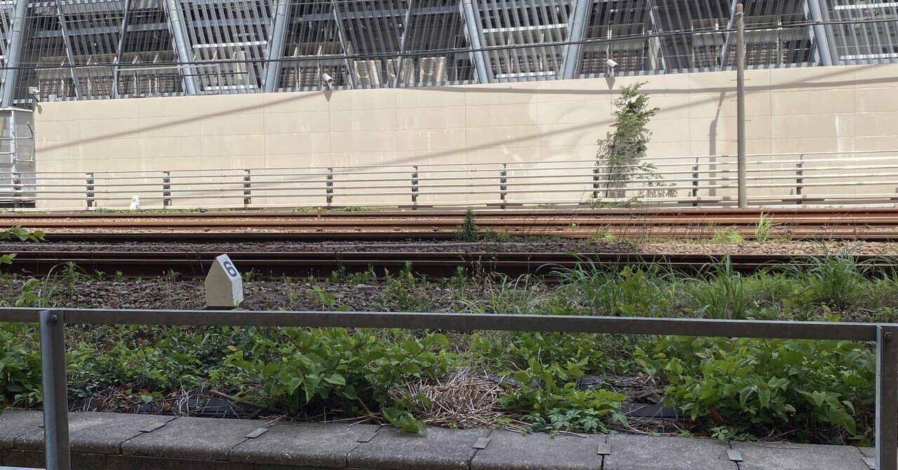 辻海帆チェキ会 vol. ⑥ 1部｜takaoharada