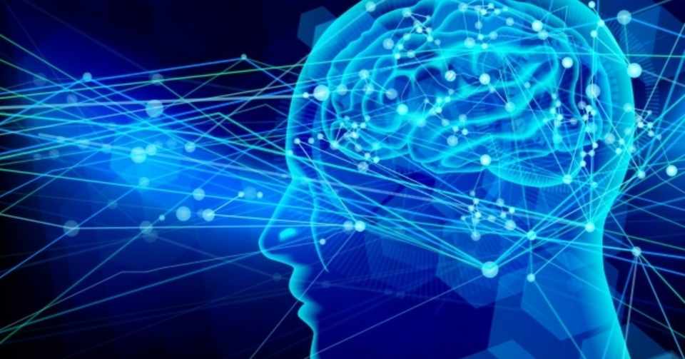 アドラー サプリ