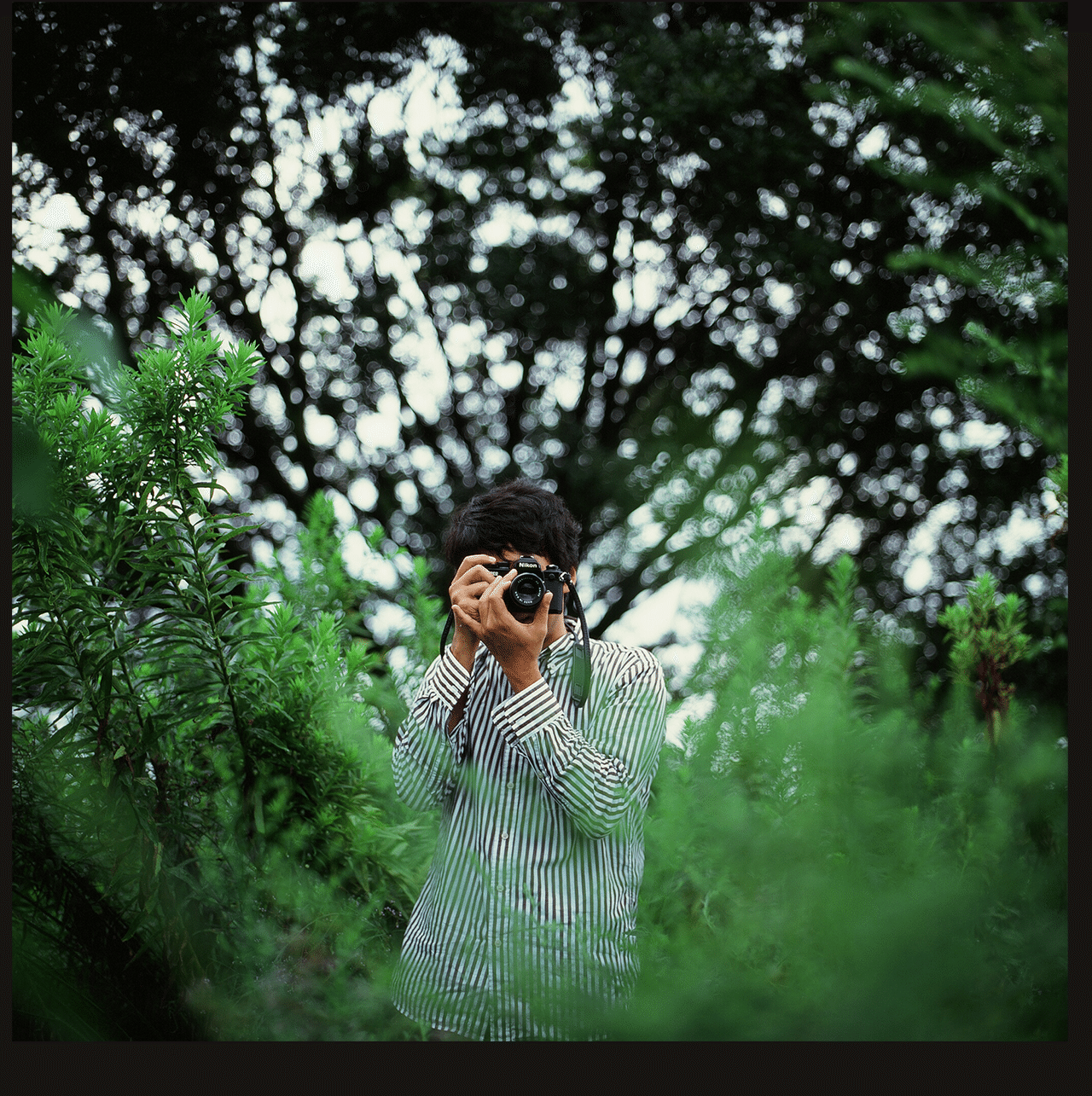 2 2 Hasselbladの高級スキャナで中判フィルムをデータ化してもらった話 小山ひとき Note 2 2 Hasselbladの高級スキャナで中判フィルムをデータ化してもらった話 小山ひとき Note