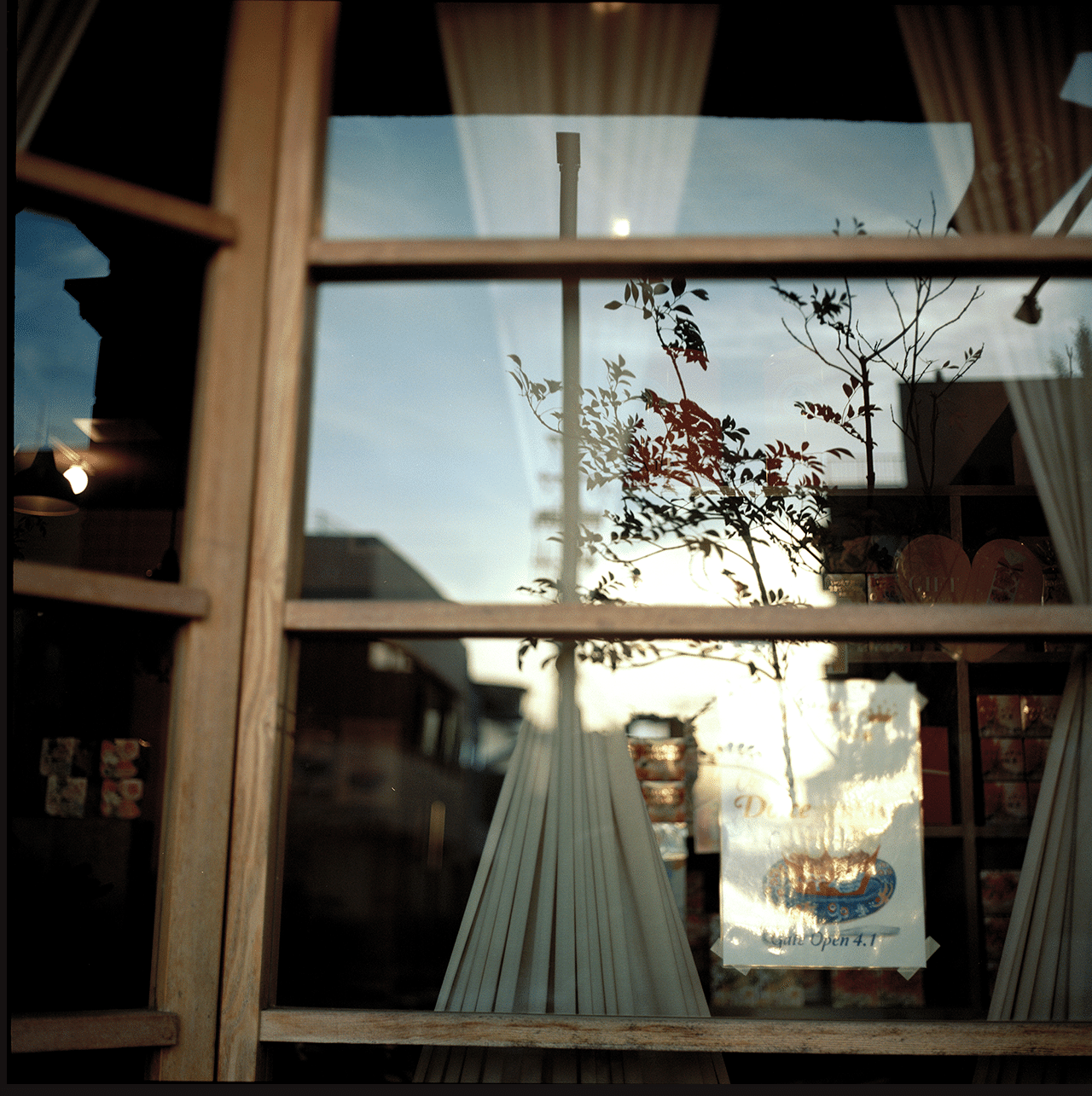 2 2 Hasselbladの高級スキャナで中判フィルムをデータ化してもらった話 小山ひとき Note 2 2 Hasselbladの高級スキャナで中判フィルムをデータ化してもらった話 小山ひとき Note