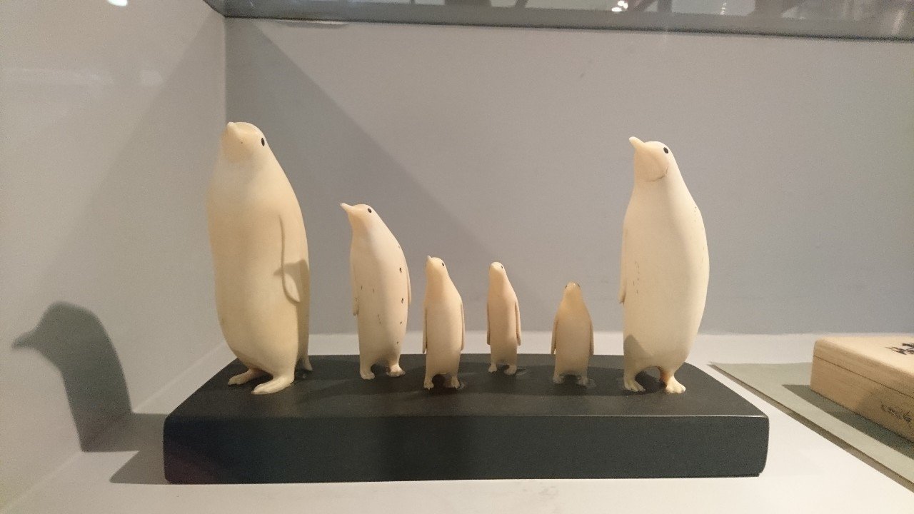 鯨の牙　ペンギン 好き好き和歌山！！その2｜眼鏡屋