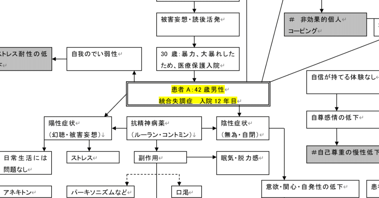 看護学関連 統合失調症患者 ゴードン11項目アセスメント 看護計画 関連図資料