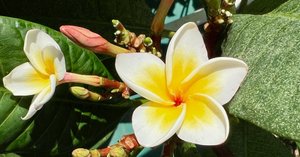 rectangle_large_type_2_9fd645d