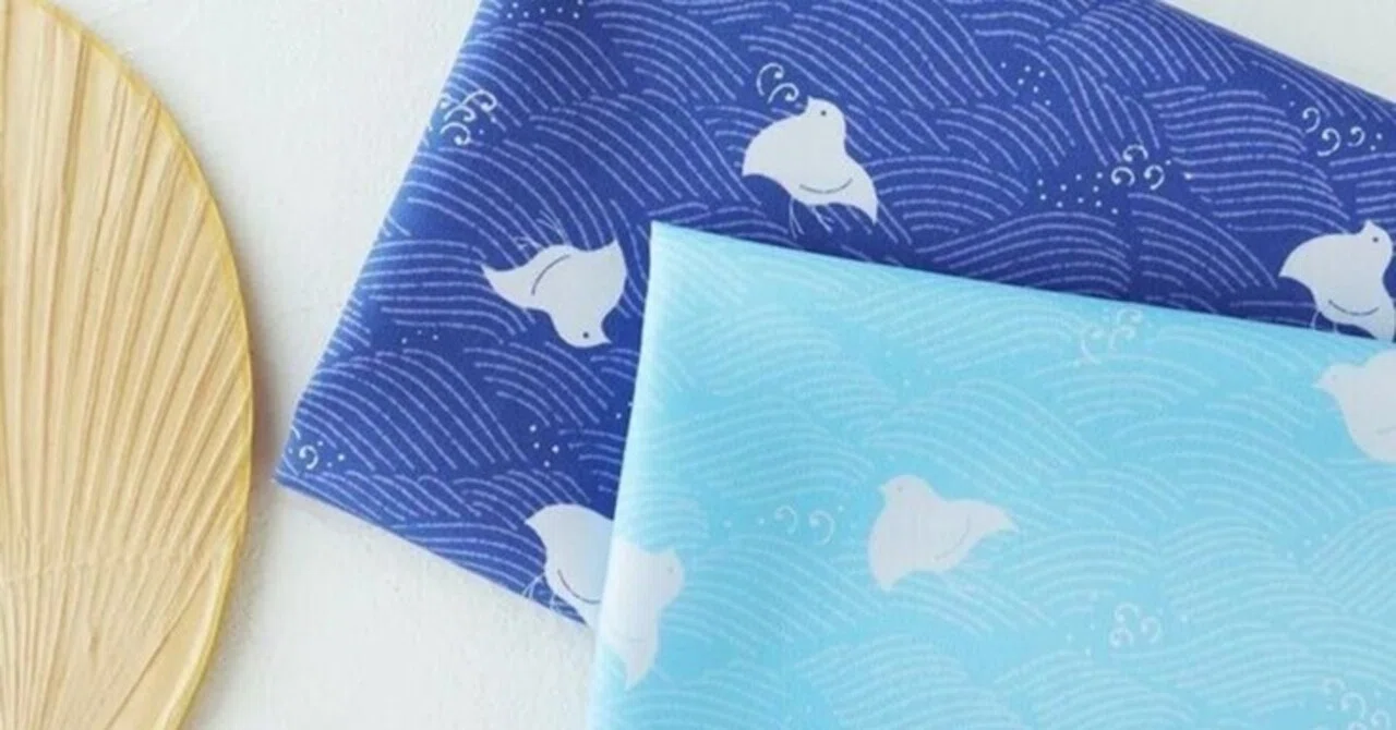 Design Created with You / Cool Beach Plovers for Summer｜みわわ｜ブランディングデザイナー