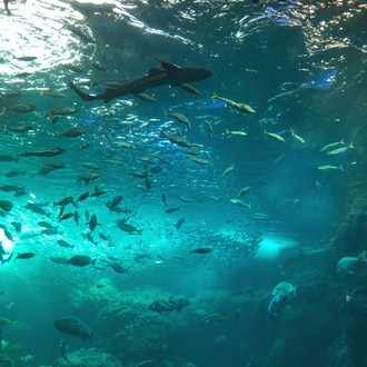 生きてることが辛いなら 嫌になるまで生きるがいい 氷魚 Note