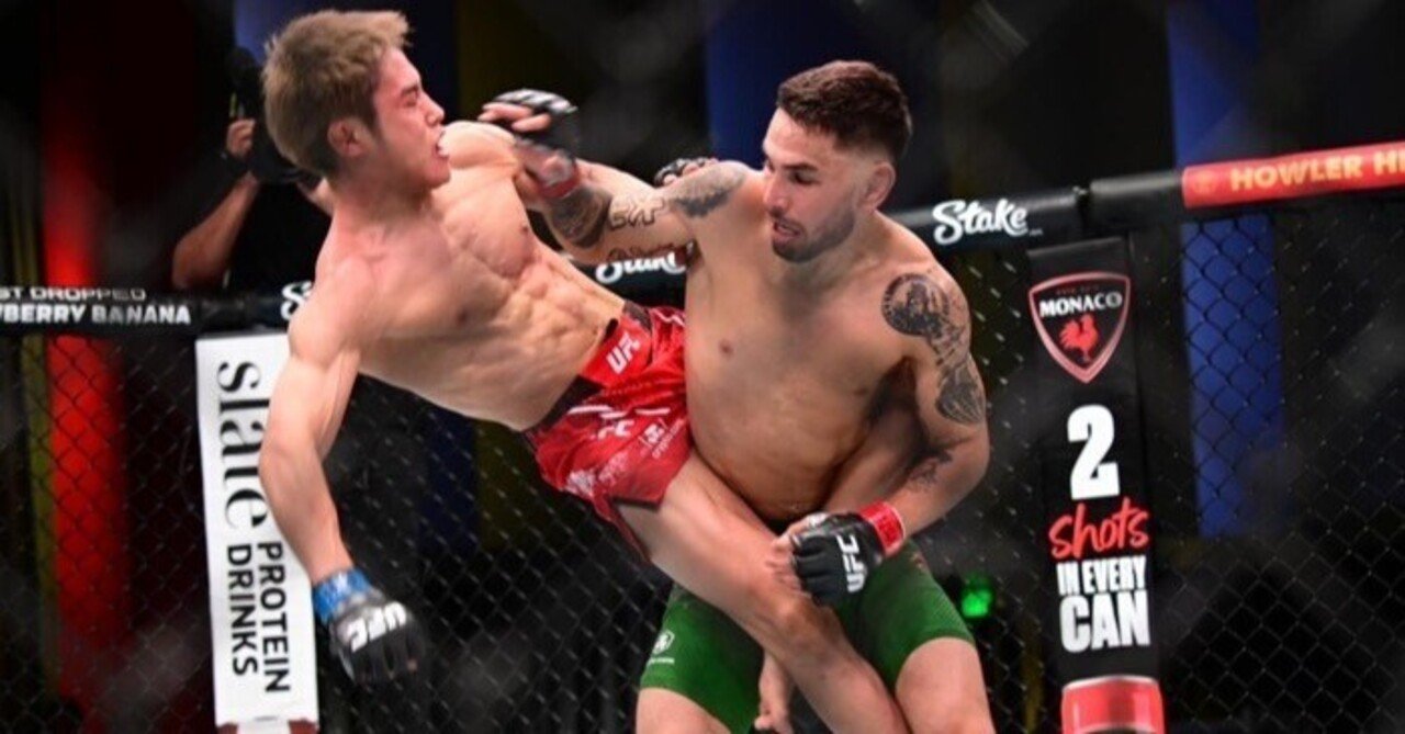 平良達郎さんUFCのフィニッシュ技術解説 ヘンゾロックは膝に危険
