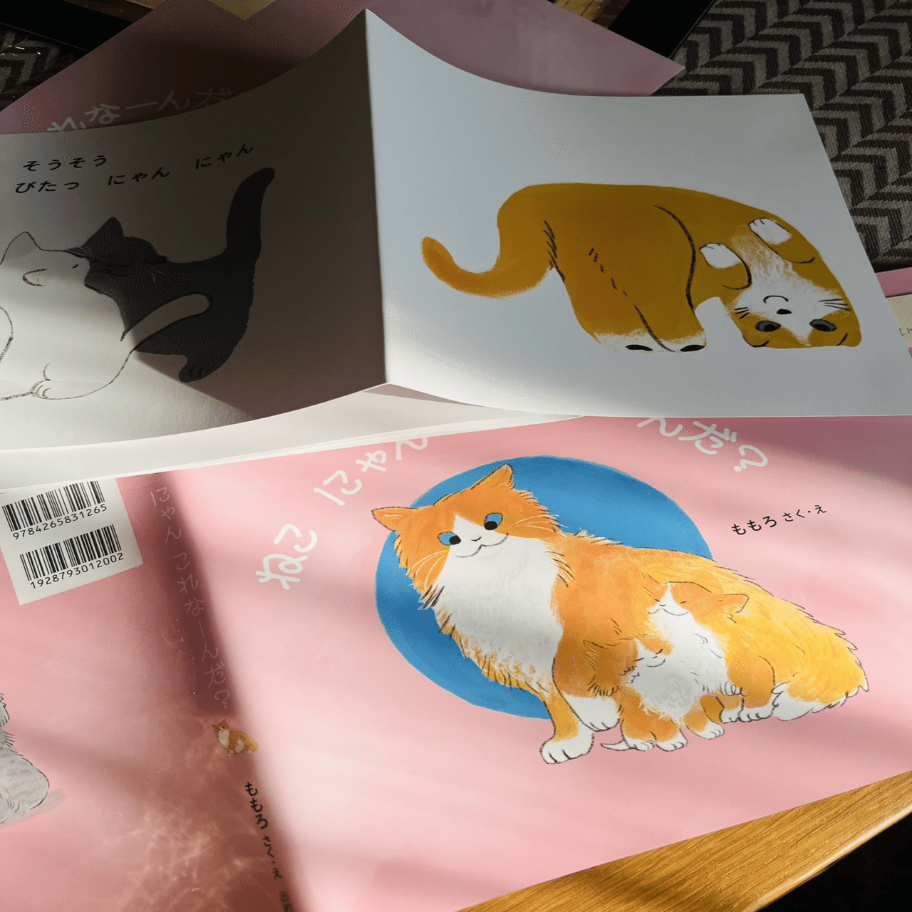 絵本「ねこにゃんこれなーんだ？」【岩崎書店】 – momoro's portfolio