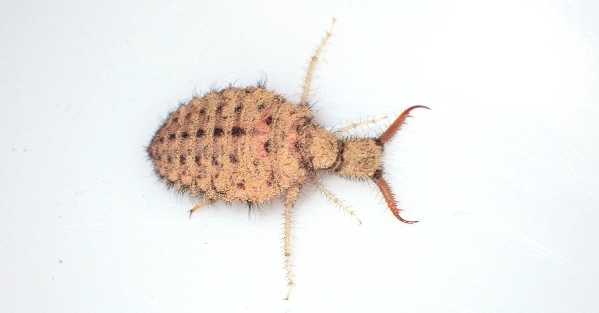 b2a63d0f9730a0bfd57c66a7faceec