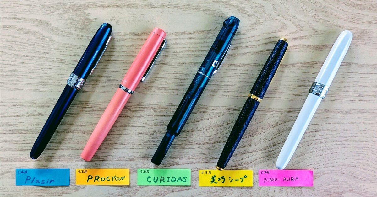 プラチナ万年筆　万年筆　両面書き PLATINUM 名称不明の両面書き？最終回 : 万年筆おやじの備忘録