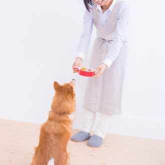 ハートの 柄入りケークサレ 犬用 です ハートの緑は よもぎ と スピルリナ 犬の心理栄養カウンセラー 三苫恵理子 Note
