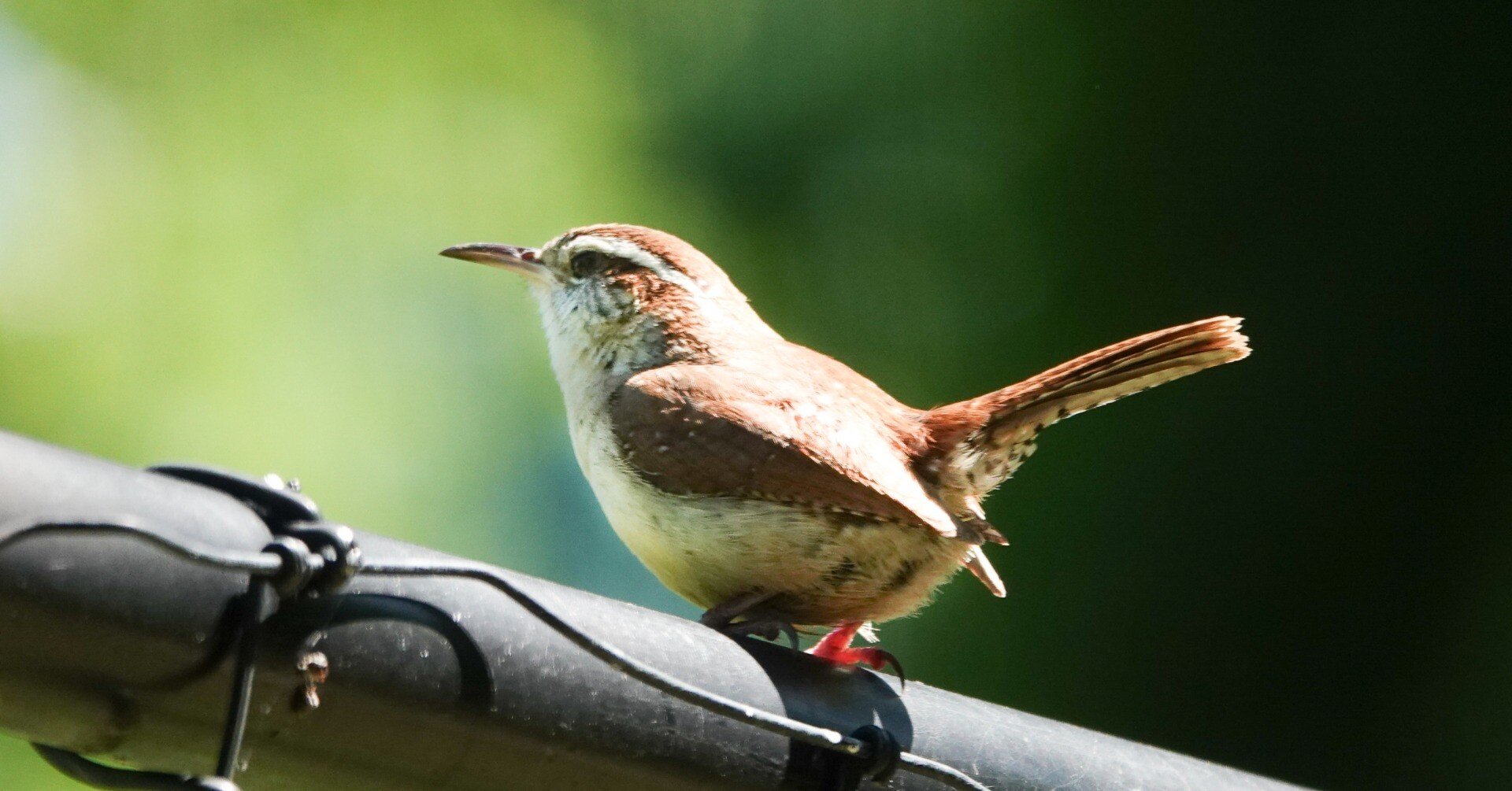 d516f250ac8347590267179bdc8231