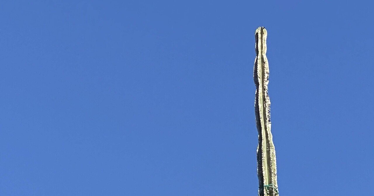 『東京都同情塔』を読んだ｜図書室 月桃