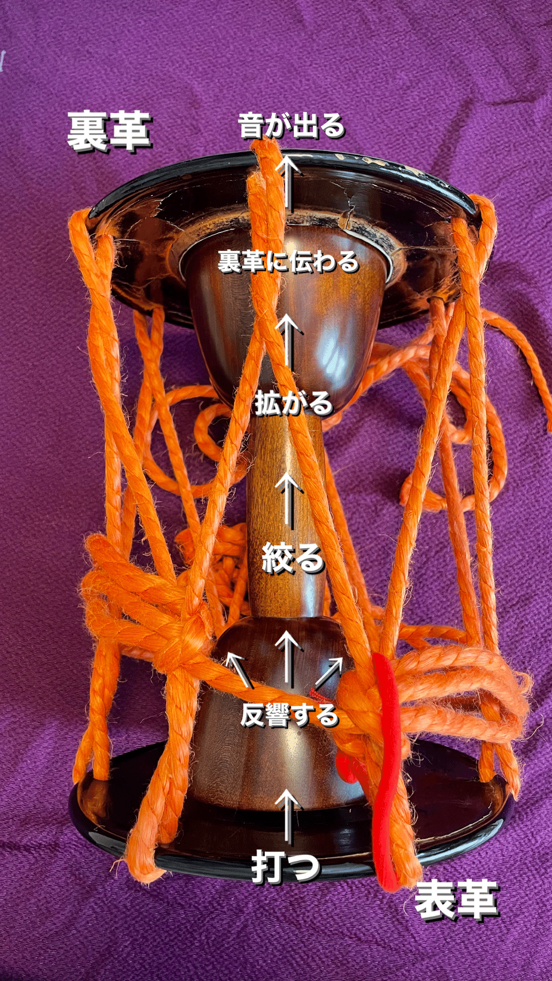 鼓 小鼓 桜 和楽器 太鼓（全信頼を寄せる 平打ち和太鼓ケース